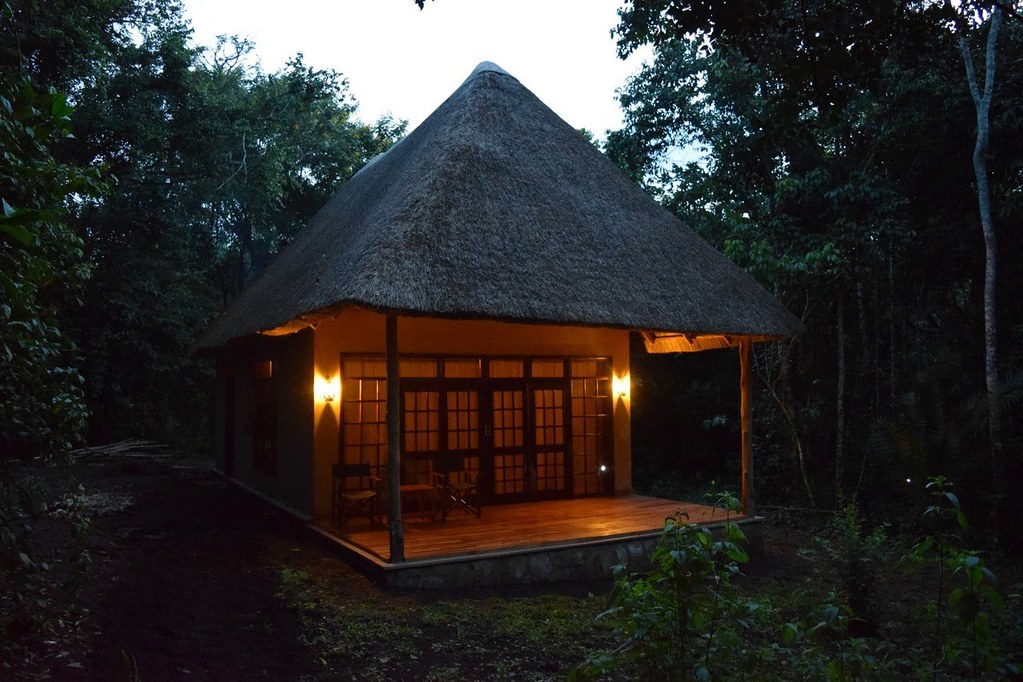 Primate Lodge