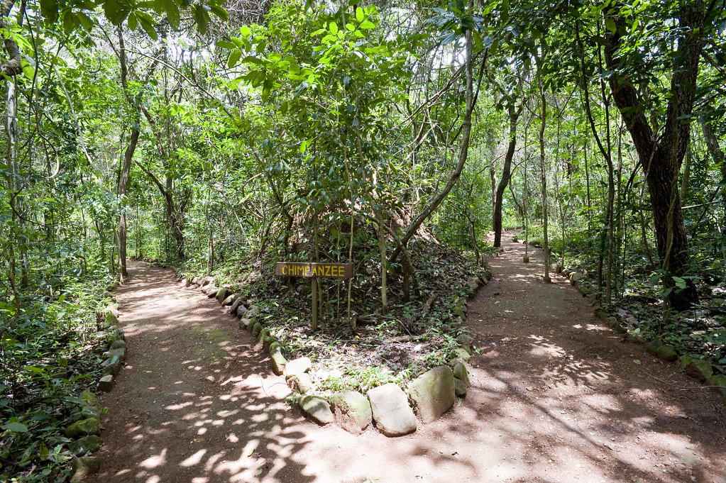 Eco-Lodge, Budongo